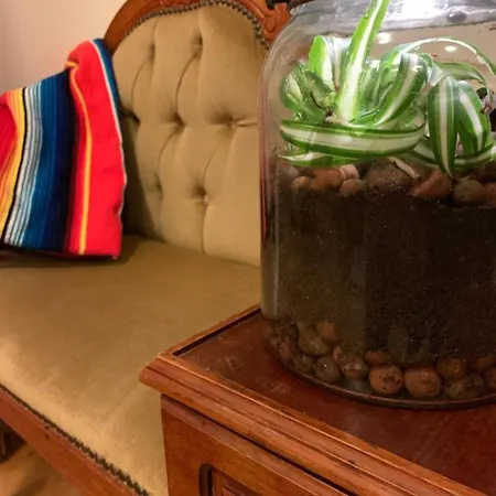 Grands Groupes - Chateau Des Forges * Gouville-sur-Mer